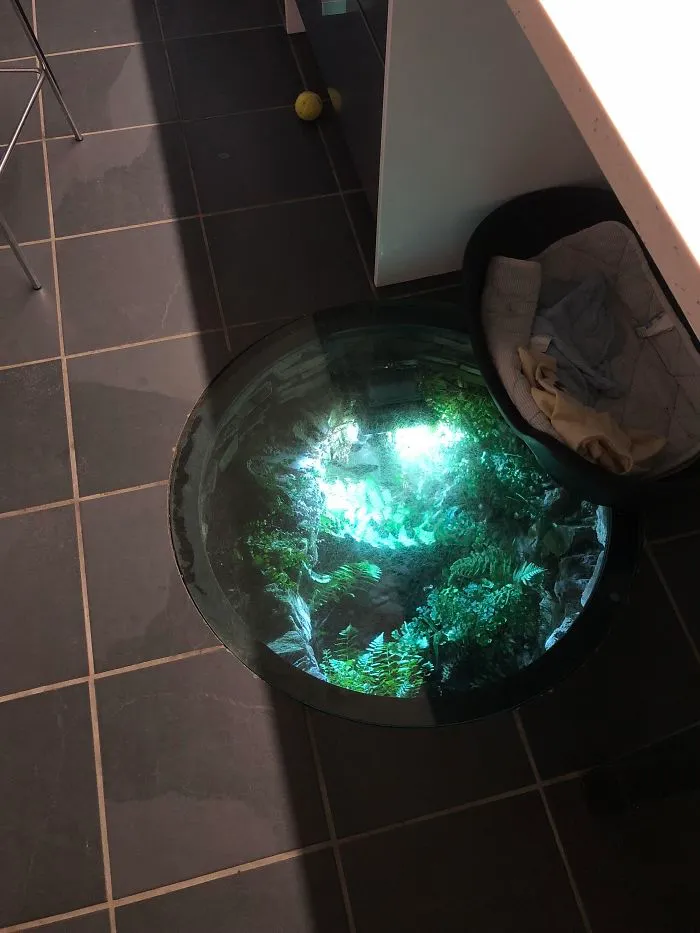 My Grandparents Have A Glassed-Over Well In Their Kitchen