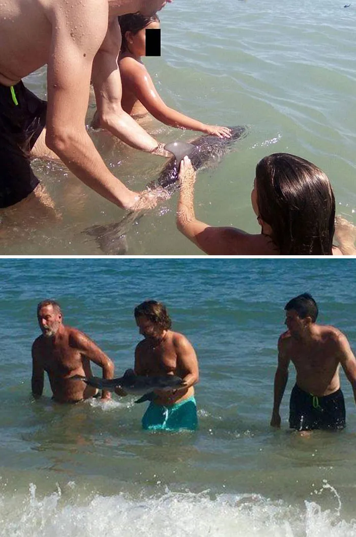 Killed For A Selfie: Baby Dolphin Dies After Being Passed Around By Tourists As They Posed For Photos With It On A Spanish Beach