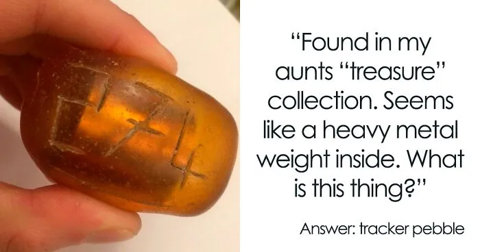 40 Times People Had No Idea What They Were Looking At, But The Internet Knew What It Was Right Away