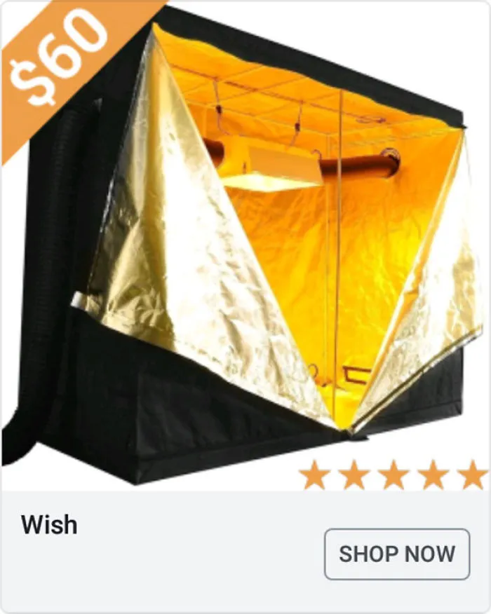 Incubator For Adults?