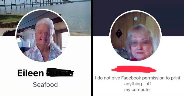 Someone Shared Their Collection Of The Most Savage And Nicest Old Lady Facebook Bios And They're Hilarious