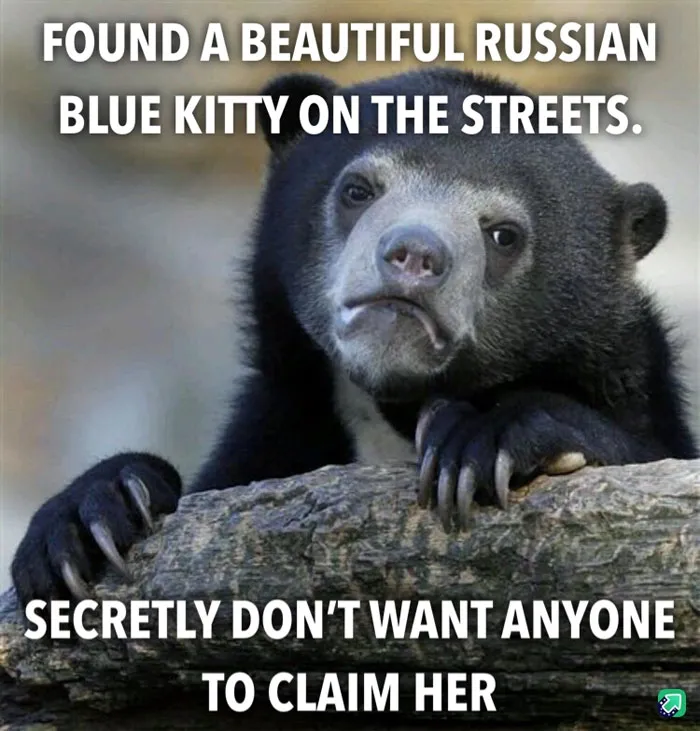 30 People Share Anonymous Confessions That They Wouldn't Admit Publicly