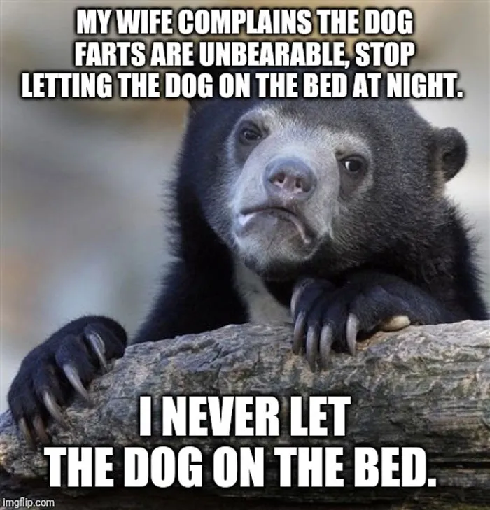 30 People Share Anonymous Confessions That They Wouldn't Admit Publicly