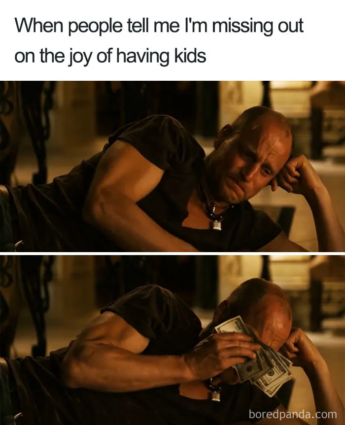 40 Memes About Being Childless In Response To People Not Accepting That This Is A Free Choice