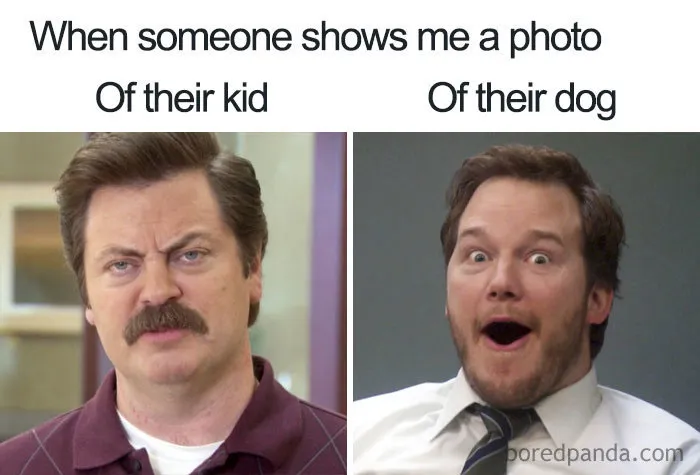 40 Memes About Being Childless In Response To People Not Accepting That This Is A Free Choice