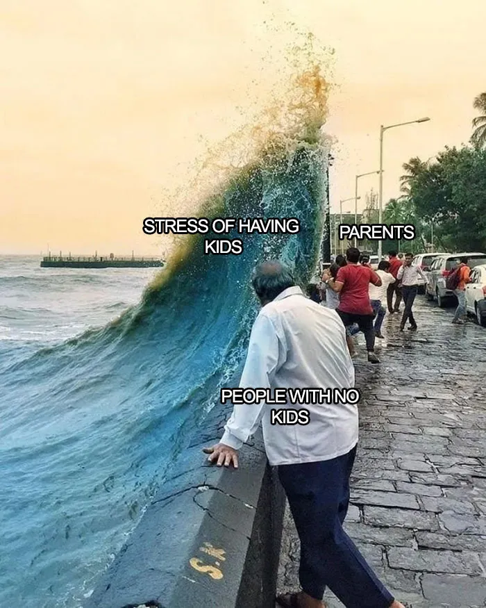 40 Memes About Being Childless In Response To People Not Accepting That This Is A Free Choice