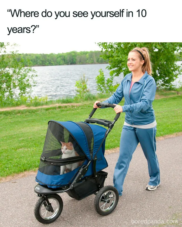 40 Memes About Being Childless In Response To People Not Accepting That This Is A Free Choice
