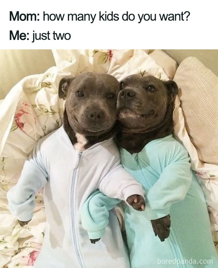 40 Memes About Being Childless In Response To People Not Accepting That This Is A Free Choice