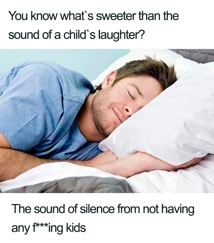 40 Memes About Being Childless In Response To People Not Accepting That This Is A Free Choice