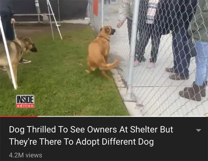 This Is Honestly Sad