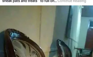 30 Idiot People Who Don’t Deserve To Own A Pet