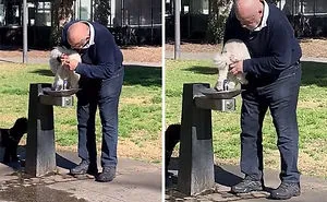 30 Idiot People Who Don’t Deserve To Own A Pet