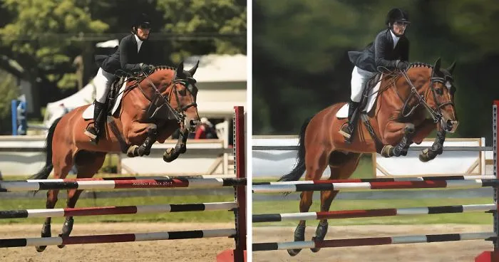 I Paint Pets From Photos, Here Are 13 Of My Favorite Before And Afters