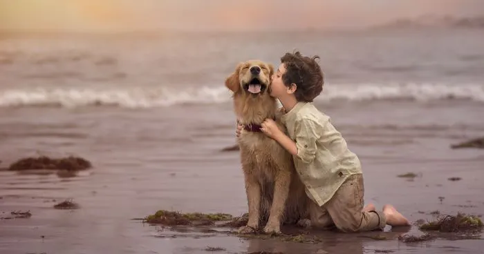 16 Pics Of The Adventures Of Our Son And Our New Dog Nana Captured From The Moment They Met