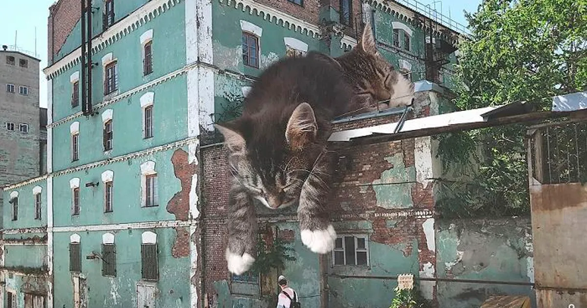 Este artista crea imágenes mostrando cómo sería el mundo si los gatos fueran mucho más grandes (30 imágenes)