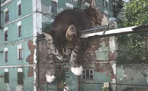 Este artista crea imágenes mostrando cómo sería el mundo si los gatos fueran mucho más grandes (30 imágenes)
