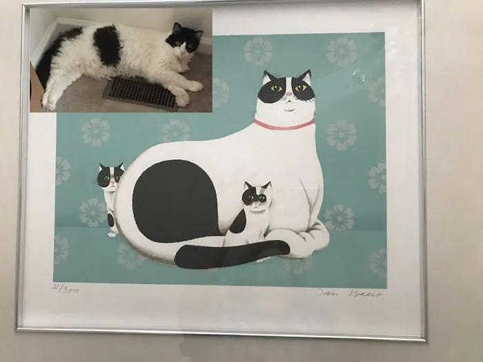 Hace 2 meses, falleció mi gata de 20 años y quedé destrozada. Ayer vi esto en la tienda de 2ª mano, y he puesto la foto de mi gata para que veais el increíble parecido