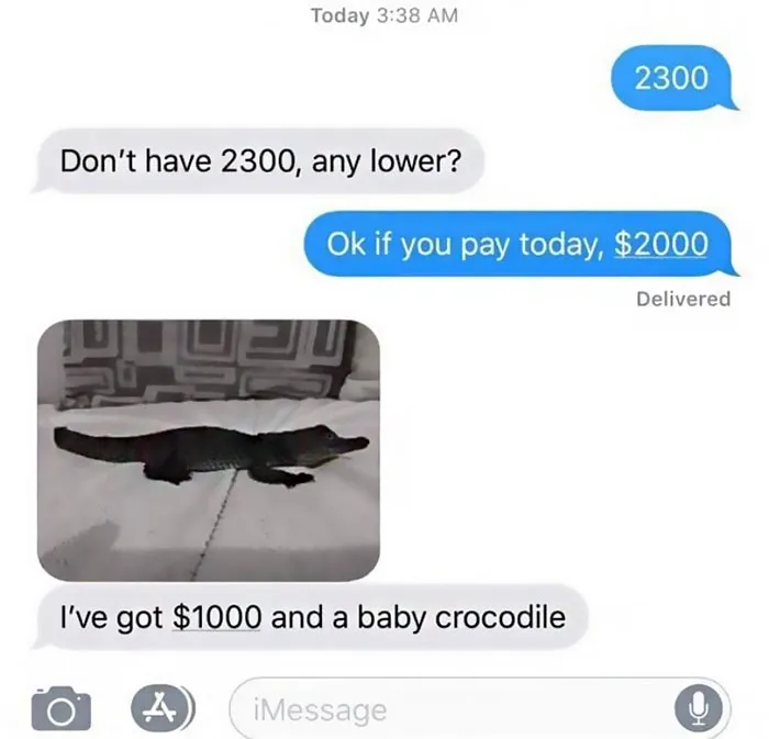 Crocodeal Or No Deal