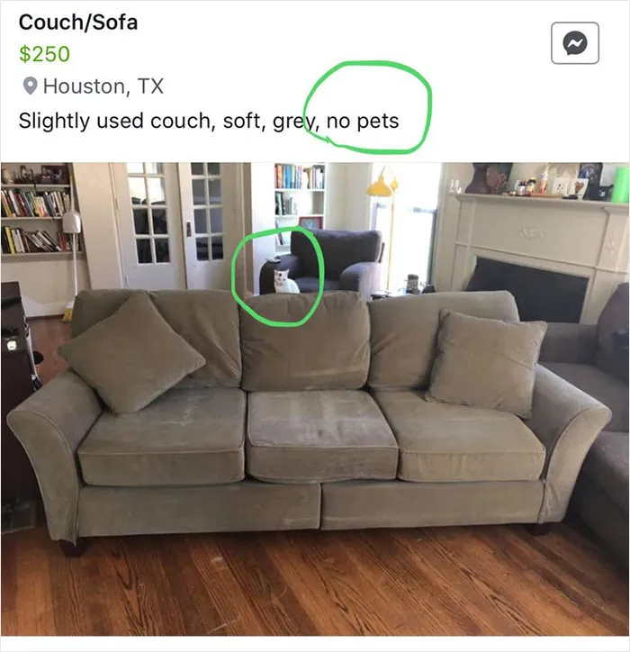 No Pets
