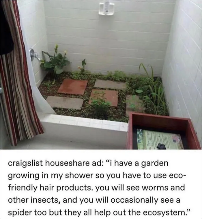 How Soon Can I Move In?