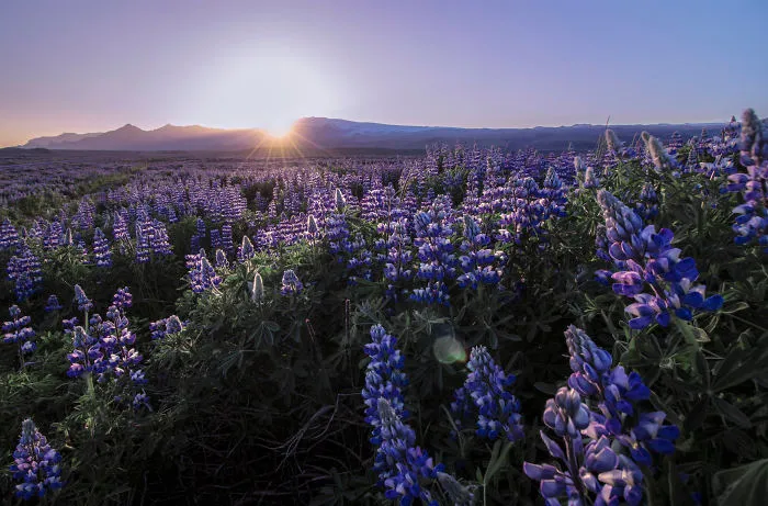 I’ve Circled Iceland 3 Times, Here Are My 28 Favorite Pics That Capture Its Beauty