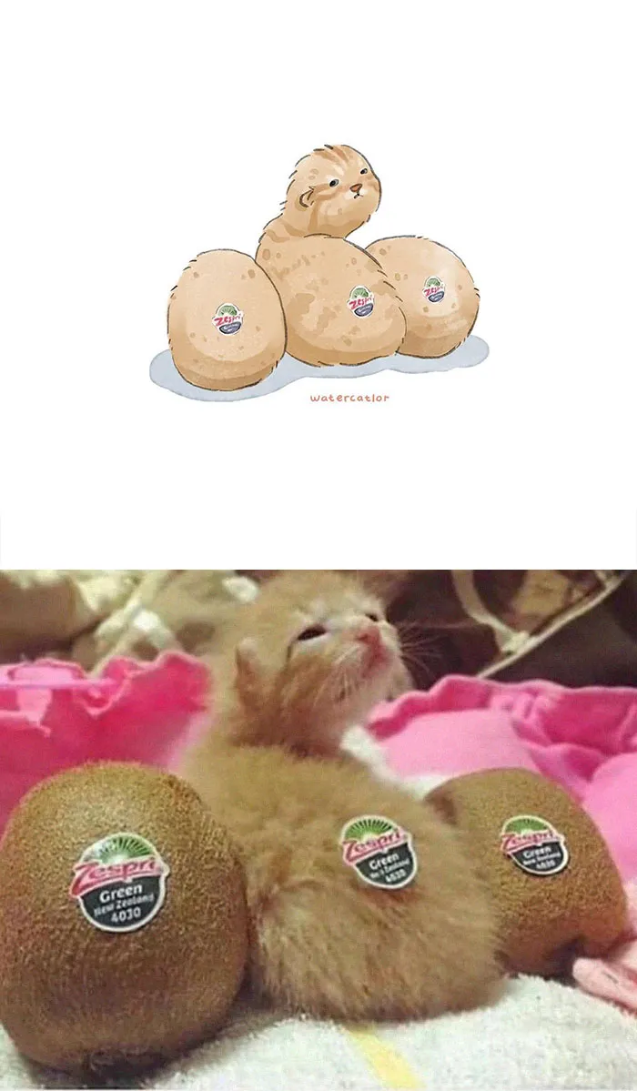 30 Of The Funniest Internet-Famous Cat Pics Get 'Watercolorized' By Amelia Rizky