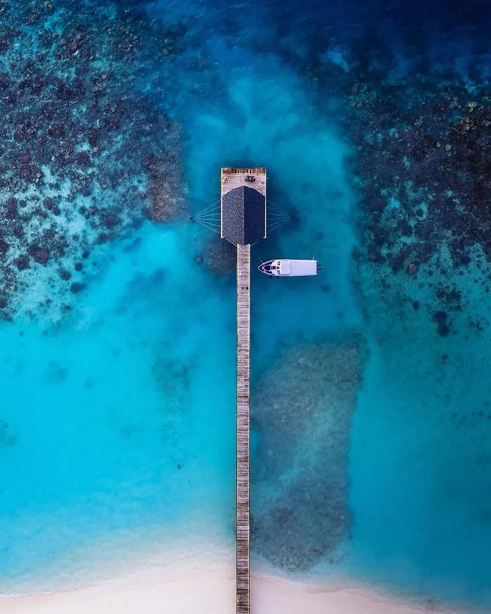 I Need Vitamin Sea