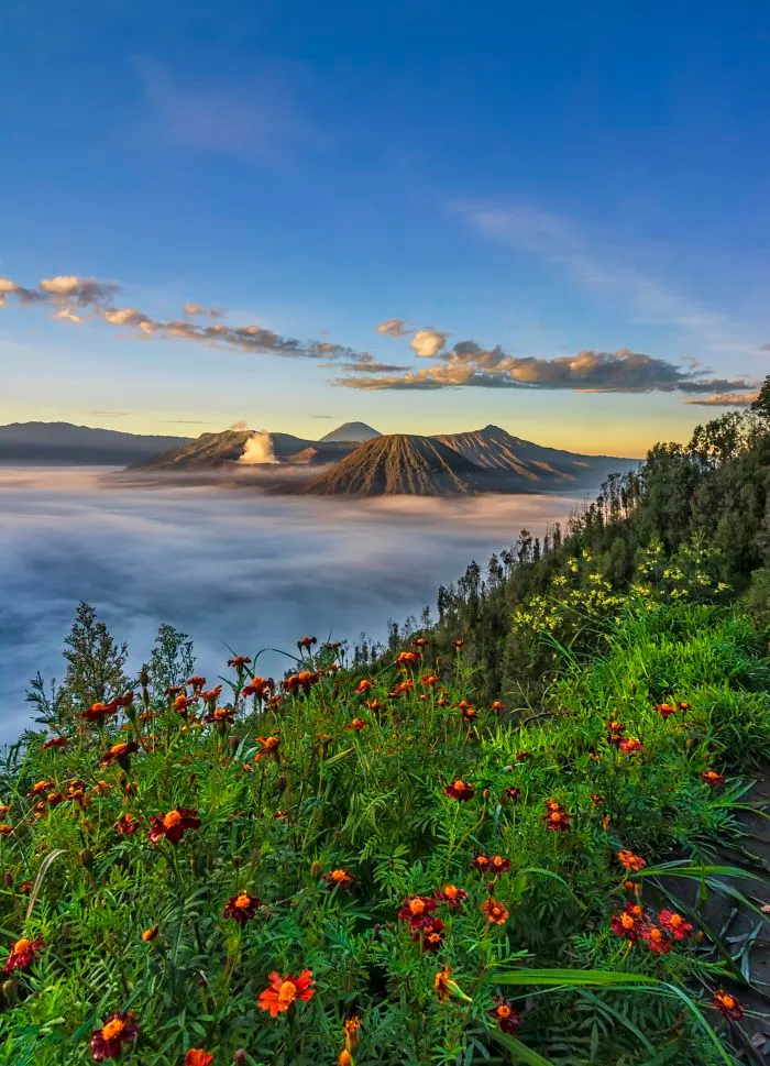 Beautiful Morning In Bromo