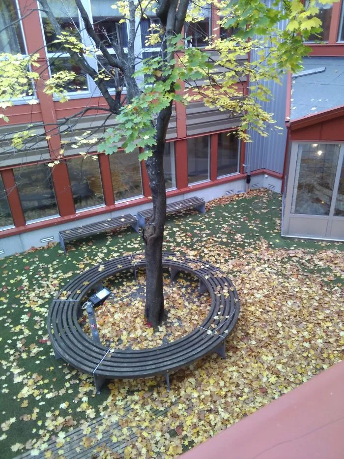 My School Has This Mini Park Inside It But No One Can Get Inside