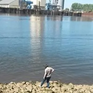 Dolevaal