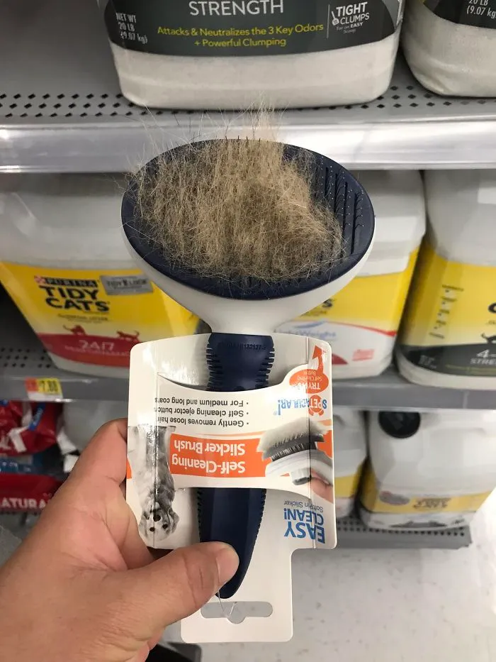 A Customer Tried It On Their Dog And Put It Back On The Shelf