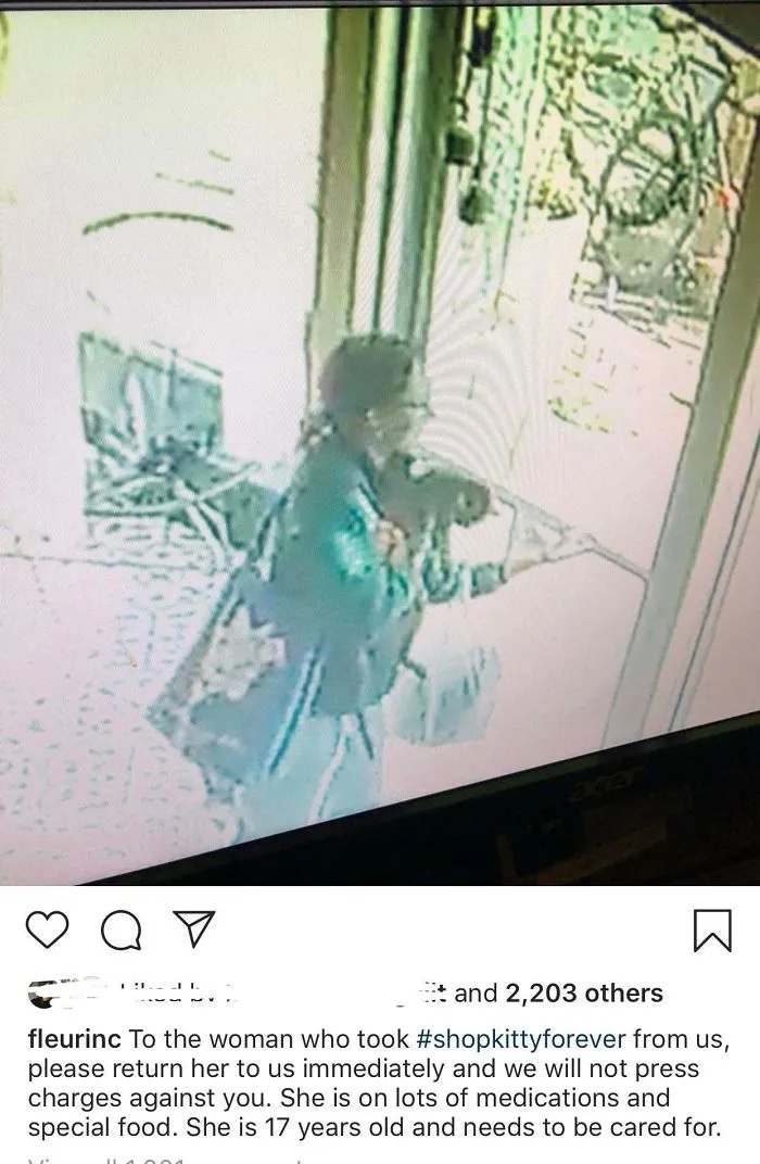 Esta mujer robó el gato de una floristería