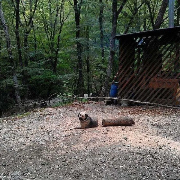 Had To Look Twice
