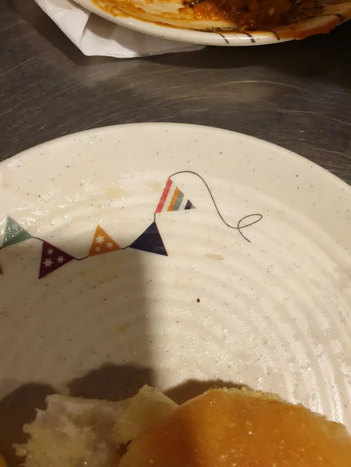 Todos los platos tienen este dibujo y parece que hay un pelo en ellos
