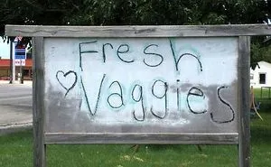 These 40 People Used Incorrect But Similar-Sounding Words, And The Results Are Hilarious