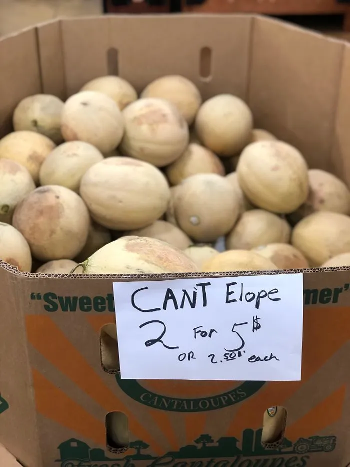 These 40 People Used Incorrect But Similar-Sounding Words, And The Results Are Hilarious