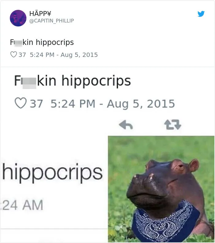 These 40 People Used Incorrect But Similar-Sounding Words, And The Results Are Hilarious