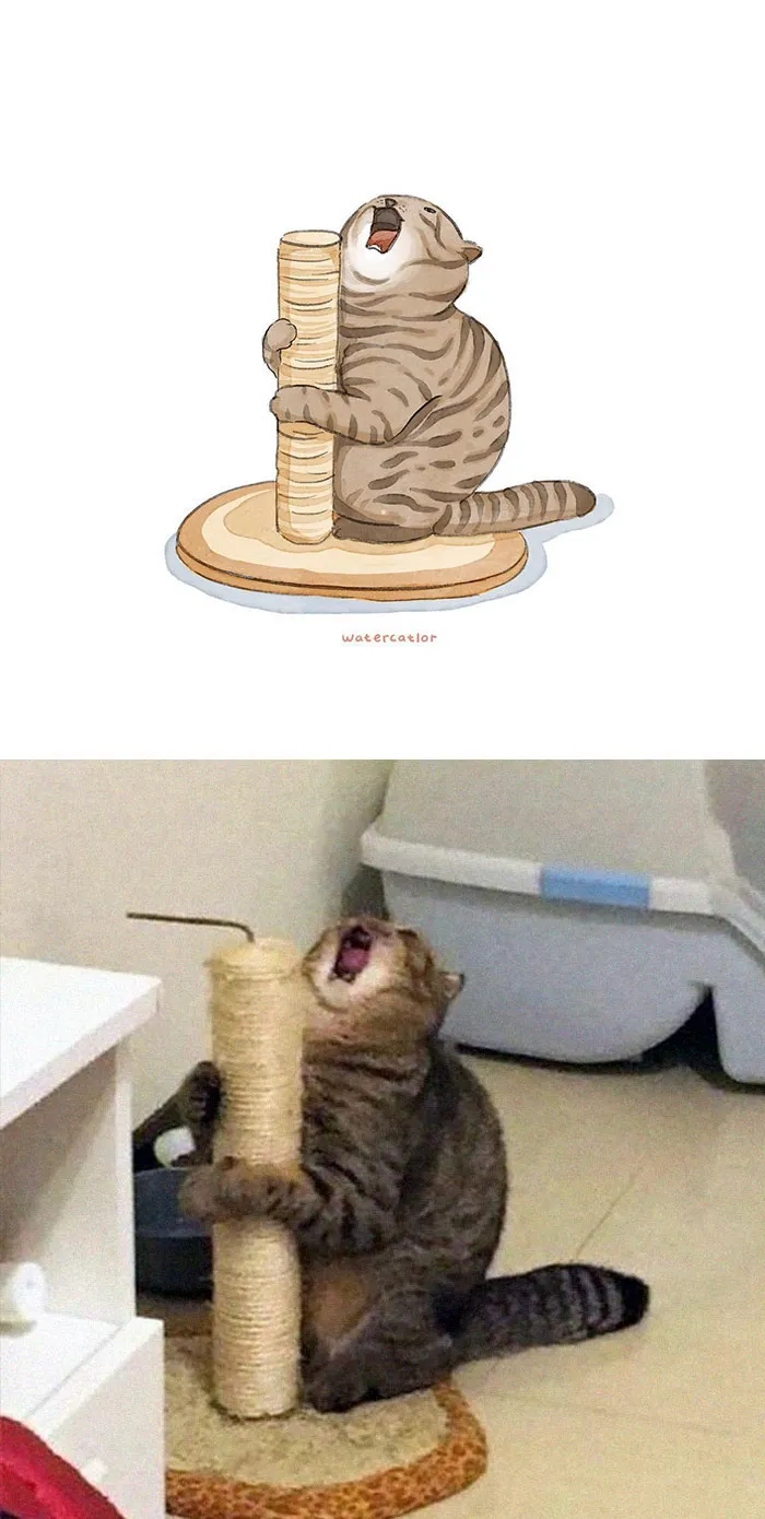 30 Of The Funniest Internet-Famous Cat Pics Get 'Watercolorized' By Amelia Rizky