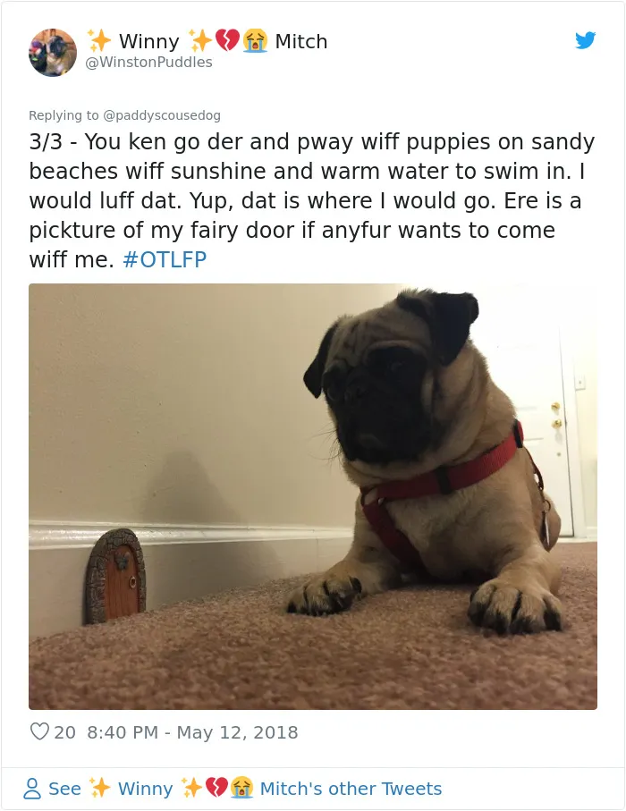 Apparently, Fairy Doors Are A Thing And Here Are The 27 Cutest Examples