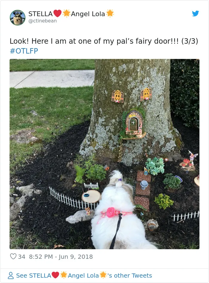 Apparently, Fairy Doors Are A Thing And Here Are The 27 Cutest Examples