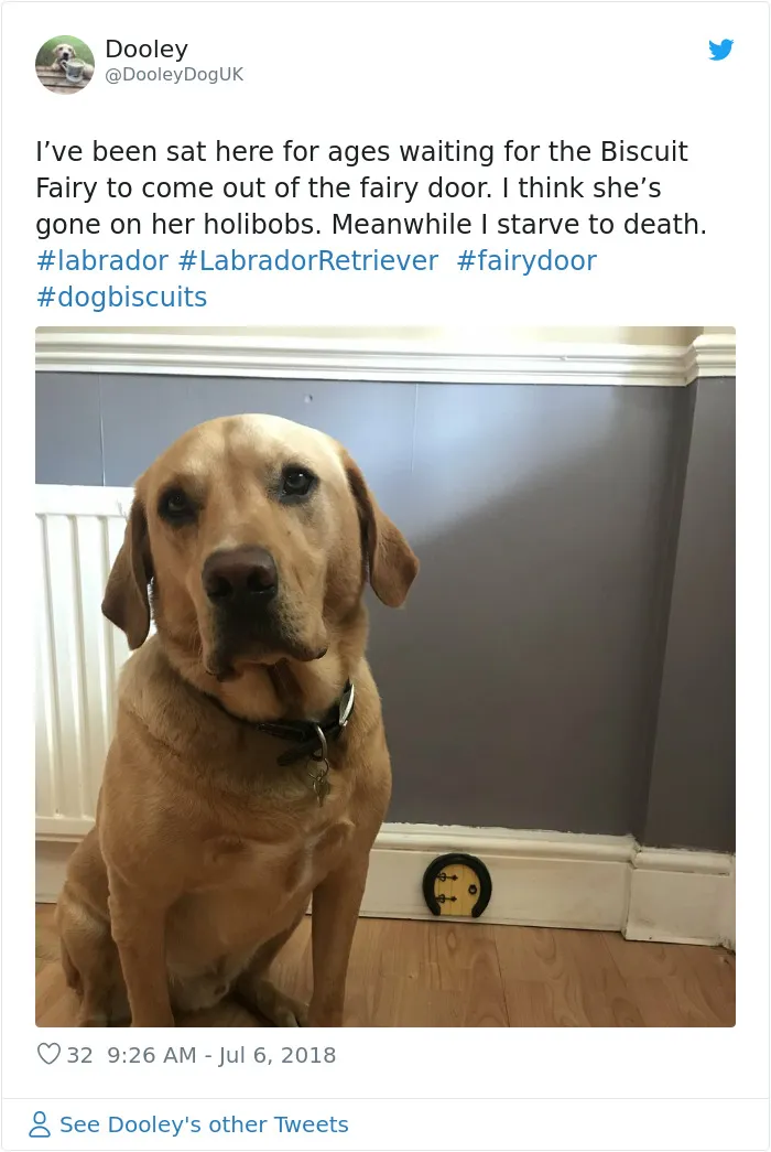 Apparently, Fairy Doors Are A Thing And Here Are The 27 Cutest Examples