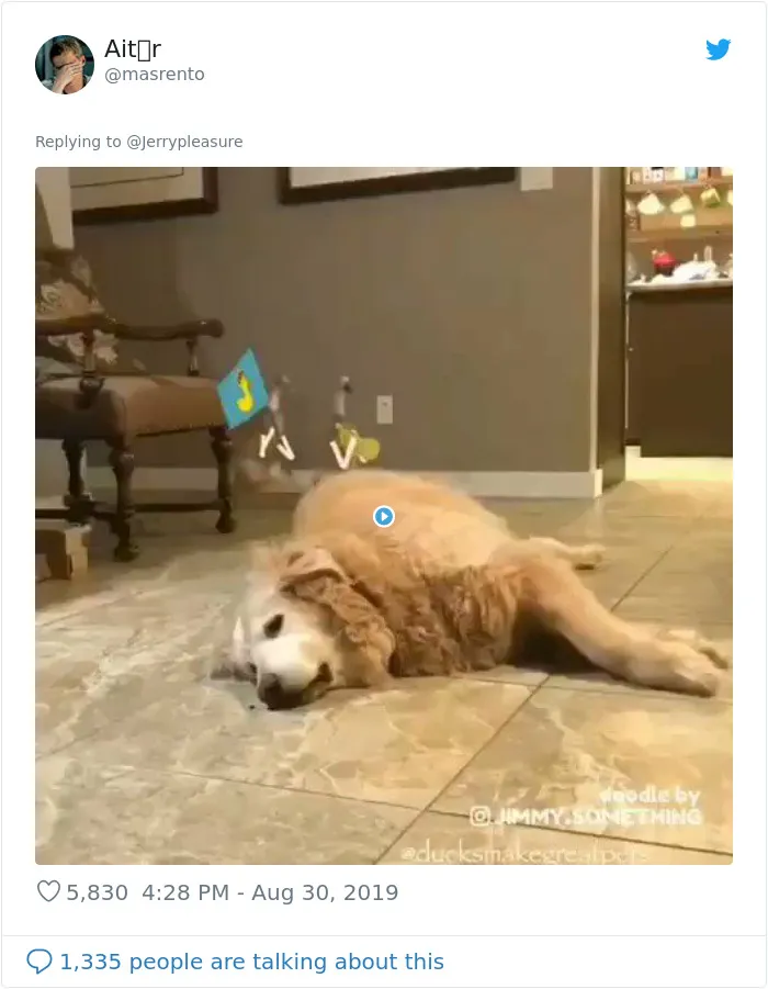 Someone Asked Twitter Users To Share Their Last Dog Pictures And The Responses Are Absolutely Pawsome