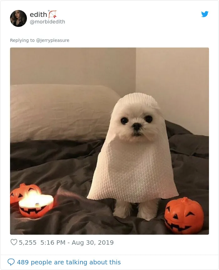 Someone Asked Twitter Users To Share Their Last Dog Pictures And The Responses Are Absolutely Pawsome