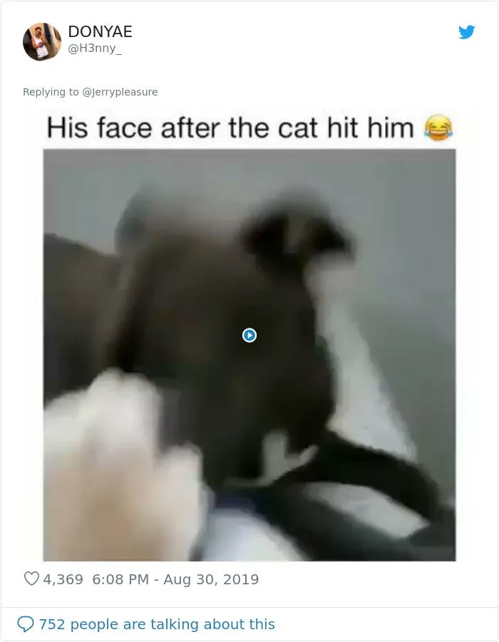 Someone Asked Twitter Users To Share Their Last Dog Pictures And The Responses Are Absolutely Pawsome