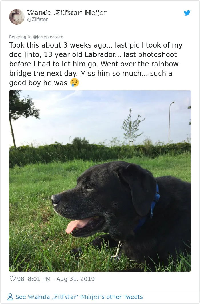 Someone Asked Twitter Users To Share Their Last Dog Pictures And The Responses Are Absolutely Pawsome