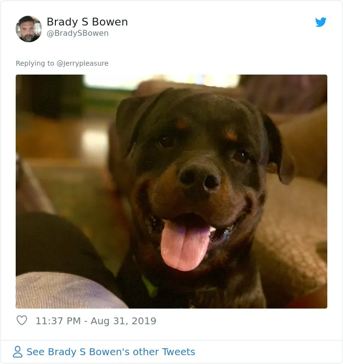 Someone Asked Twitter Users To Share Their Last Dog Pictures And The Responses Are Absolutely Pawsome