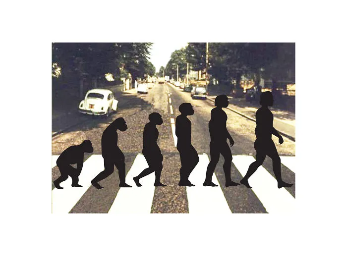 I Poke Fun At Our Modern Society In My 30 Cartoons Of The Human Evolution Silhouette