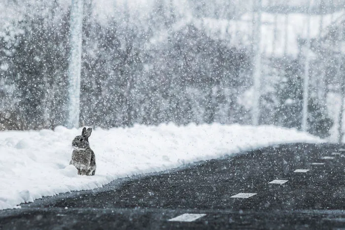 I’ve Circled Iceland 3 Times, Here Are My 28 Favorite Pics That Capture Its Beauty