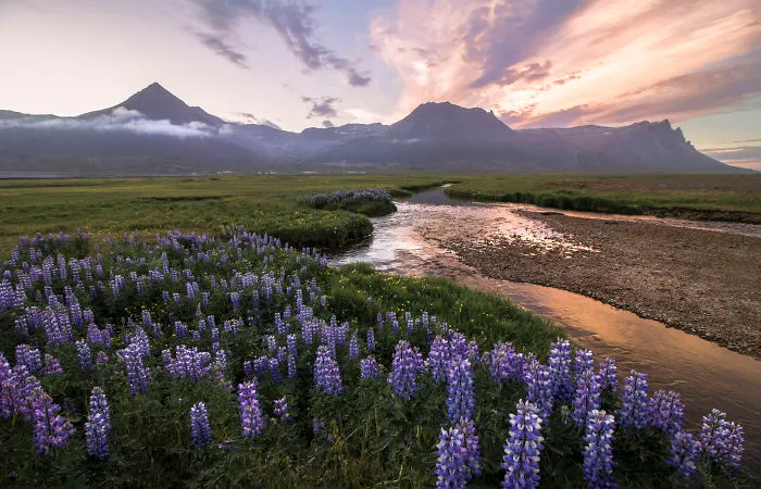 I’ve Circled Iceland 3 Times, Here Are My 28 Favorite Pics That Capture Its Beauty