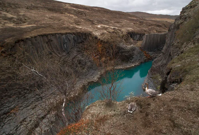 I’ve Circled Iceland 3 Times, Here Are My 28 Favorite Pics That Capture Its Beauty